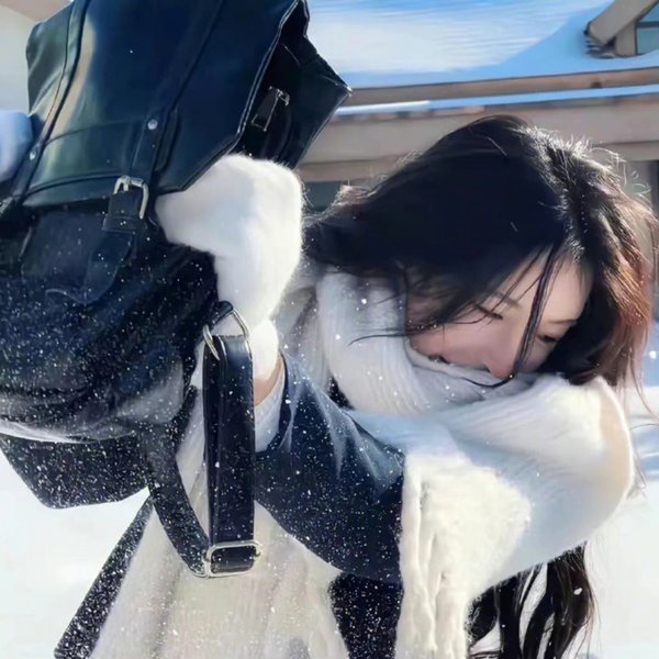 反抗之真心英雄